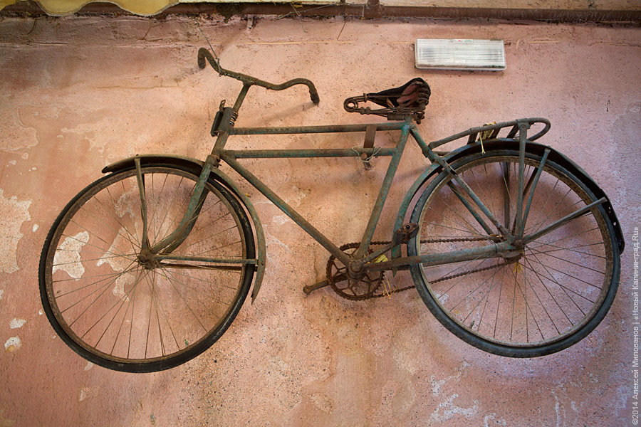 В Калининграде задержали велосипедиста, избившего охранника «Дешево» (видео)