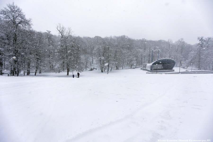 Пролетая на ватрушке: как в Центральном парке катаются с горки вопреки запретам (фото)