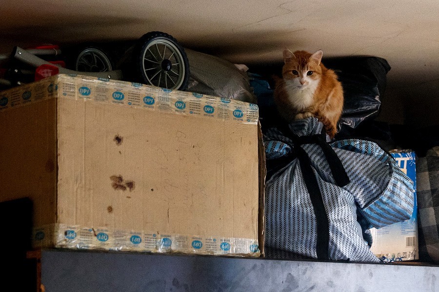 Аэропорт «Внуково» готов распродавать с молотка забытый багаж