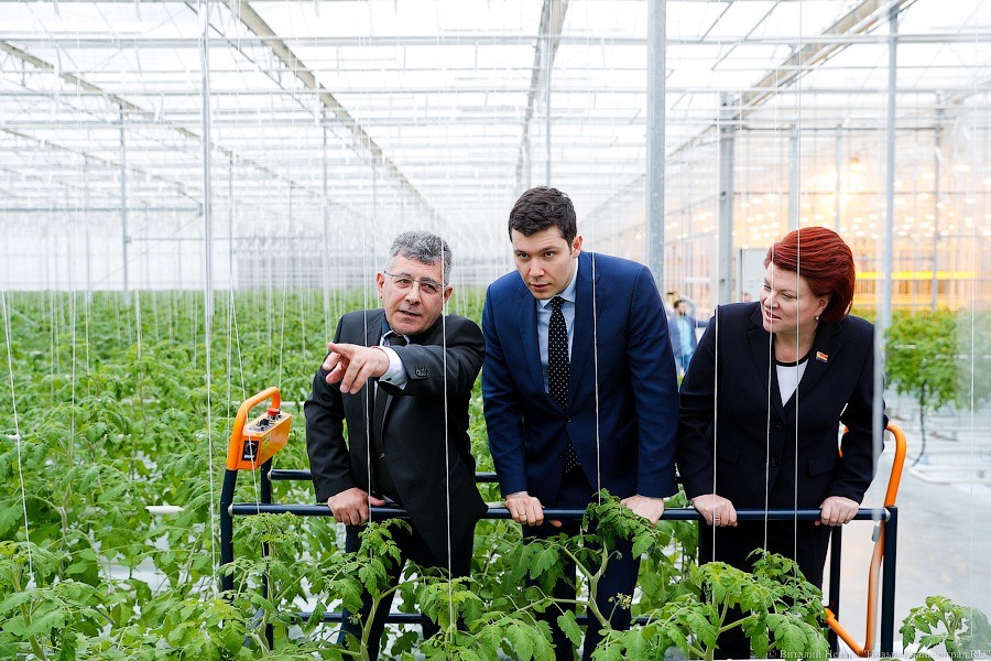 Калининградский фермер: у нас огромные трудности с продажей продукта военным