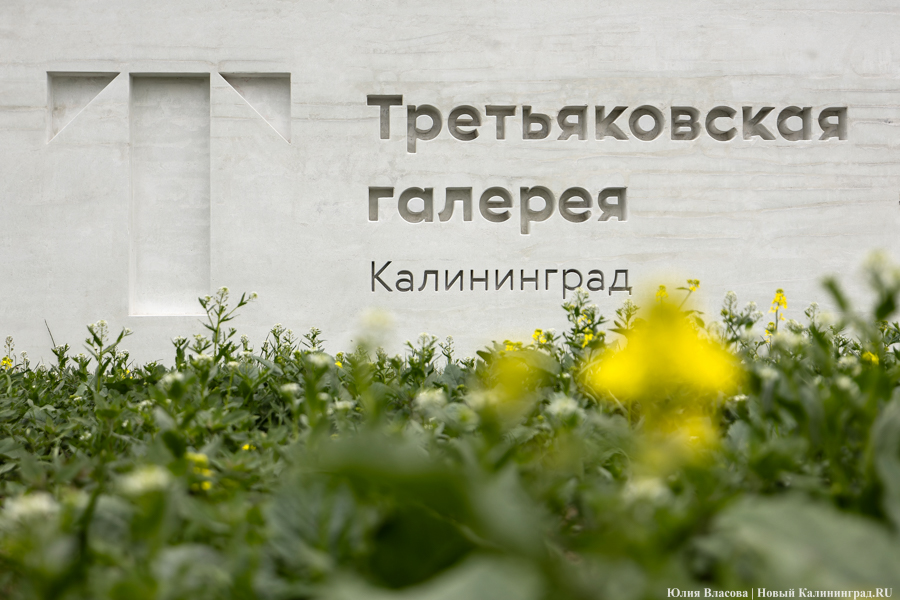 В Калининград прибыл «Чёрный квадрат»: как прошла распаковка картины Малевича (фото)