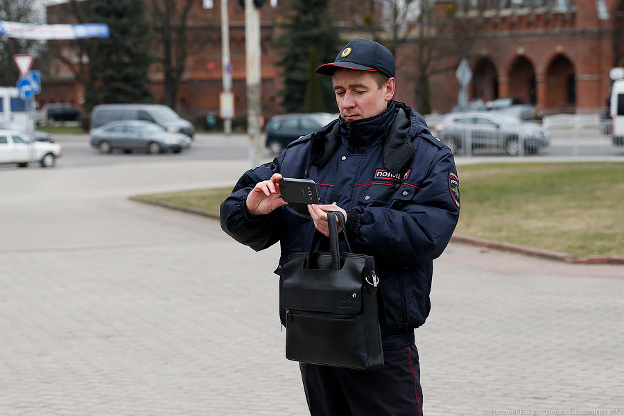 Вместе против живодеров: в Калининграде митинговали в защиту животных