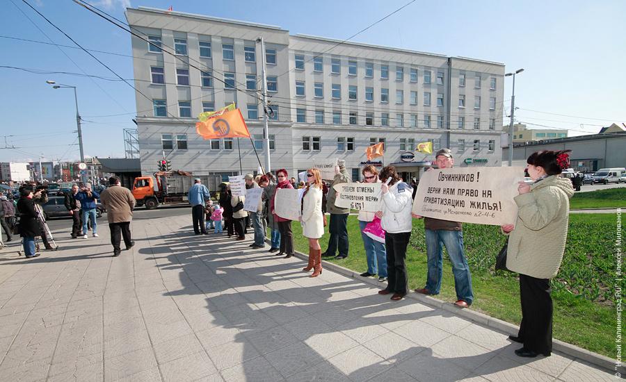 "Педозастройщики и пни во власти": фоторепортаж "Нового Калининграда.Ru"