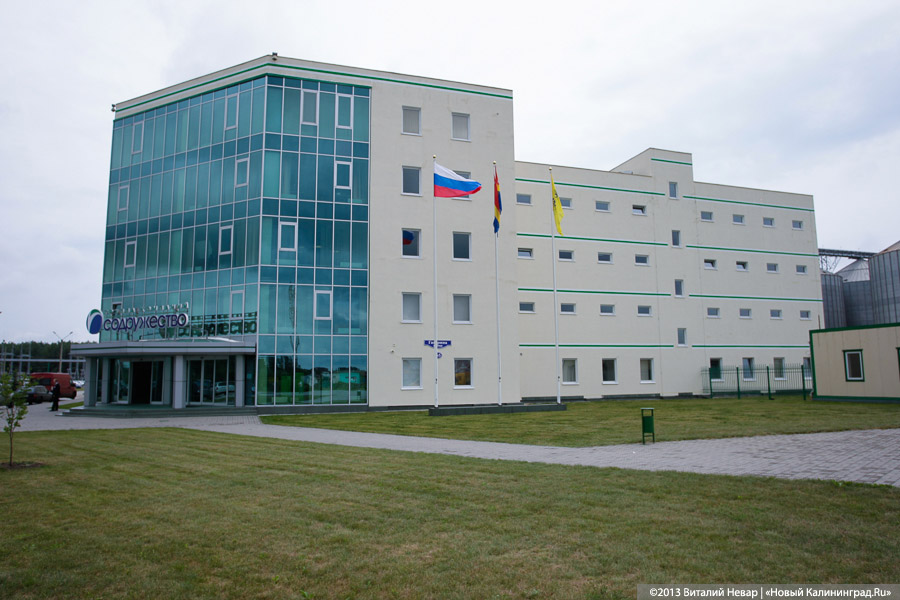 Минсельхоз хочет продлить разрешение на ввоз ГМО-шрота. Это угрожает «Содружеству»