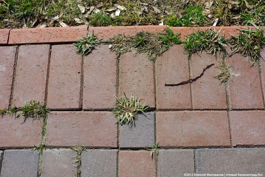 «Могила плитки»: набережная Верхнего озера после зимы