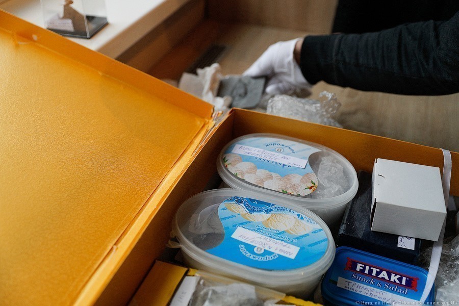 Облако планктона: в Музее Мирового океана готовят выставку актуального искусства