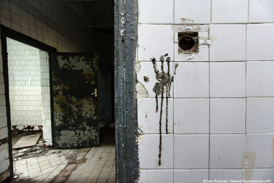 Государство в государстве: как ищут инвестора для бывшей лечебницы Алленберг (фото)