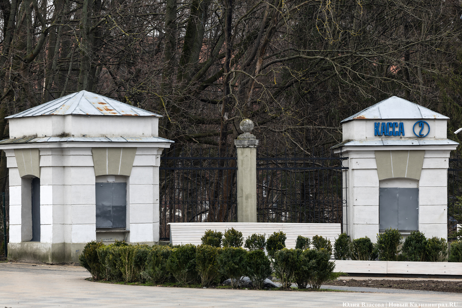 В трех соснах: как выглядит благоустроенная территория у стадиона «Балтика» (фото)