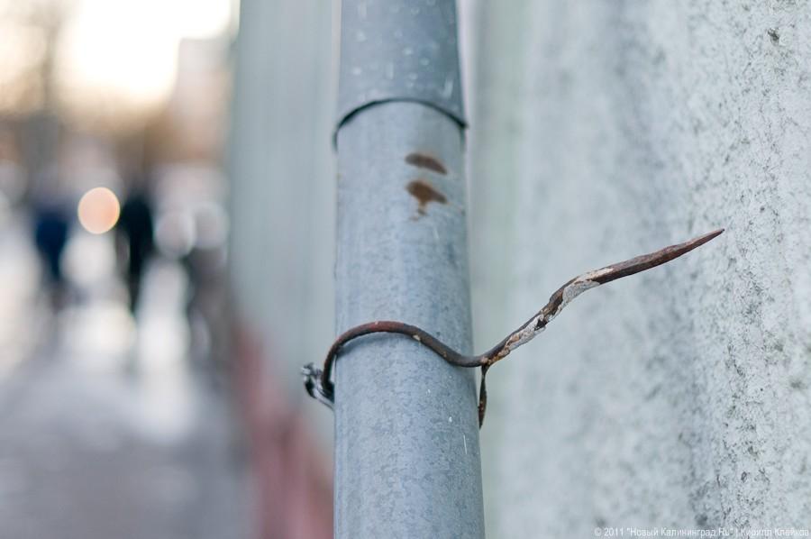 «А поутру они проснулись»: фоторепортаж «Нового Калининграда.Ru»