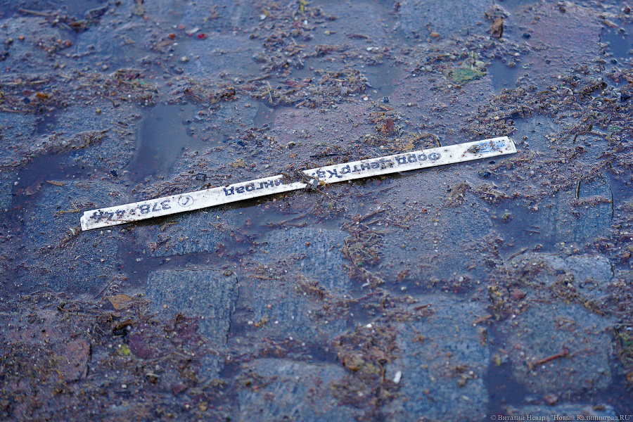 Другой берег улицы: Калининград затопило после шторма (да, опять)