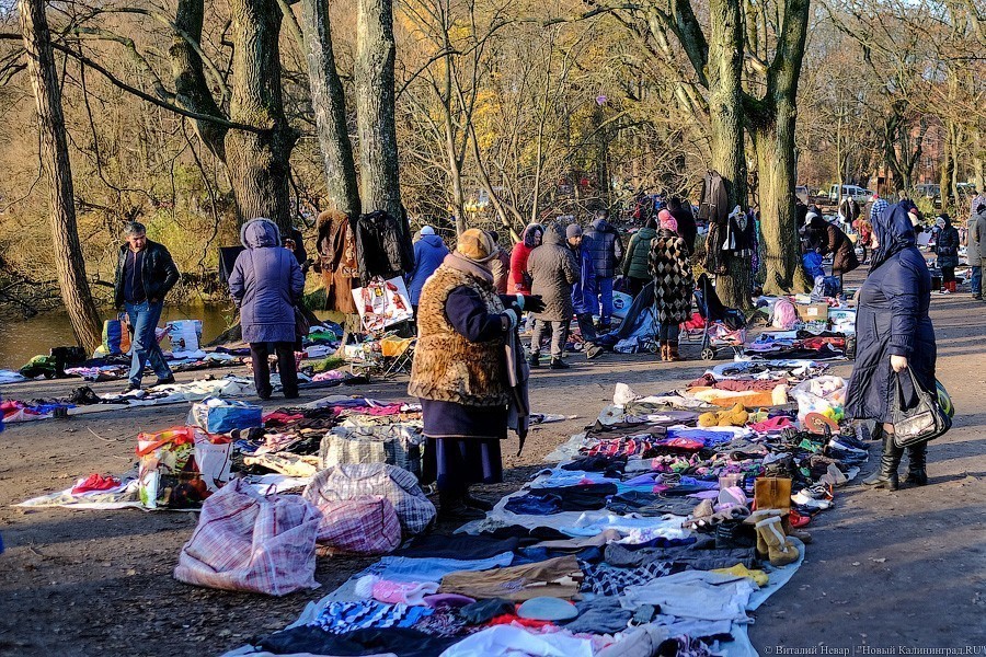 Созерцание и покой: в «Воротах» презентовали концепцию парка за башней Врангеля