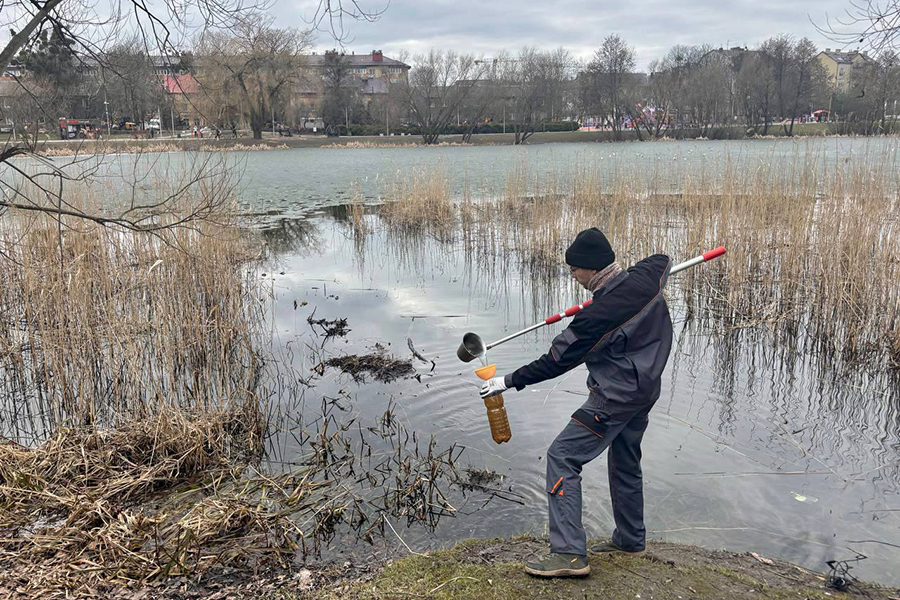 В минприроды сообщили о гибели рыбы в Летнем озере