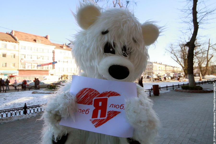 Медвежье сердце и рогатая любовь: фоторепортаж "Нового Калининграда.Ru"