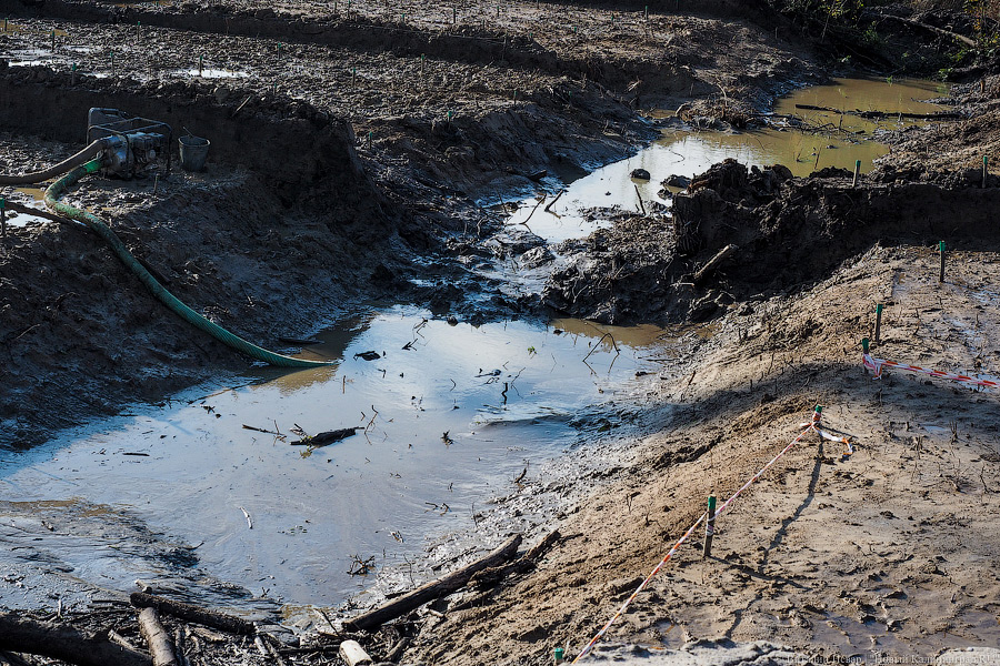 В районе Сусанина-Рассветной нашли незаконные стоки