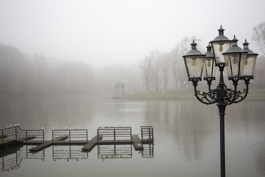 Погода в Калининградской области 26 февраля