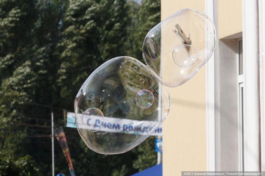 "Пропуская пешеходов": фоторепортаж "Нового Калининграда.Ru"