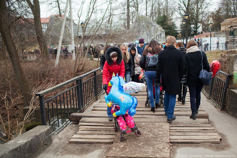 Продвинутое средневековье: как люди и звери Масленицу отмечали
