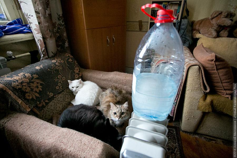 Собачий холод: в разгромленной бывшей казарме на Артиллерийской без тепла и воды живут люди