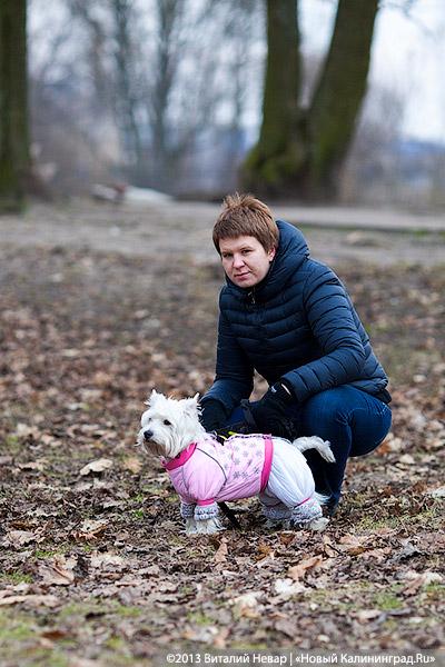 «Зубастые ловцы»: фоторепортаж с соревнований по дог-фрисби