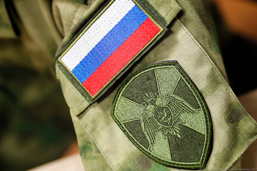 Чайка: в составе Росгвардии появятся отдельные казачьи подразделения