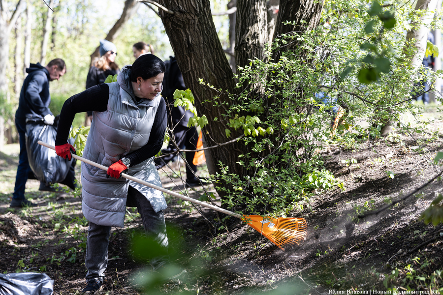 Беспрозванных поручил муниципалитетами провести субботник 4 апреля