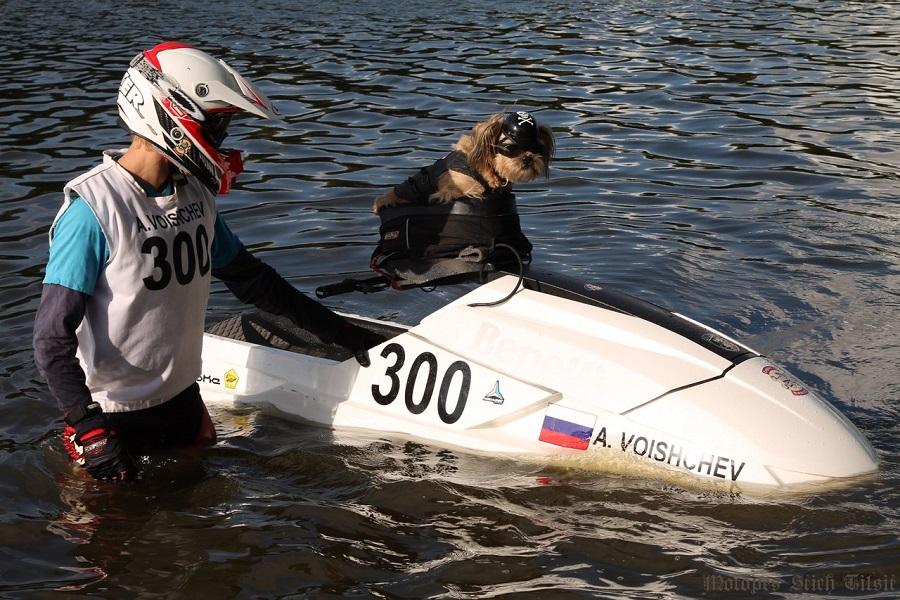 Единственный в России пес-байкер Стич пересел на водный мотоцикл (фото)