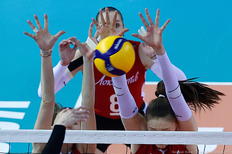 Фото: Виталий Невар / Новый Калининград