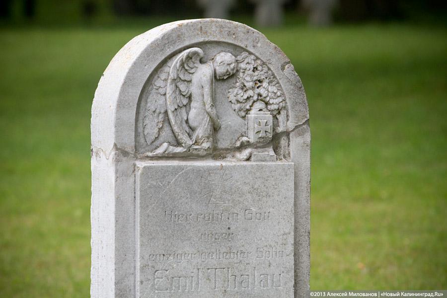 Безмятежный покой: кладбище немецких солдат и мирных жителей в пос. Русское