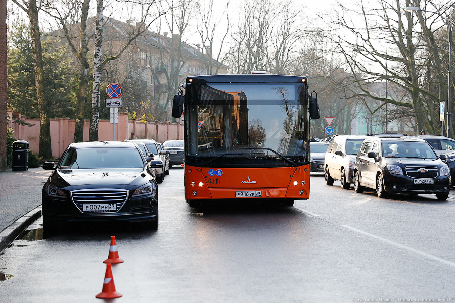 Верхом на трёхглазой змее: на калининградские автобусы нанесли символику ЧМ