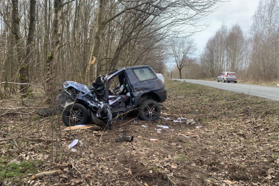Под Переславским Toyota RAV4 разбилась, вылетев в кювет на высокой скорости (фото)