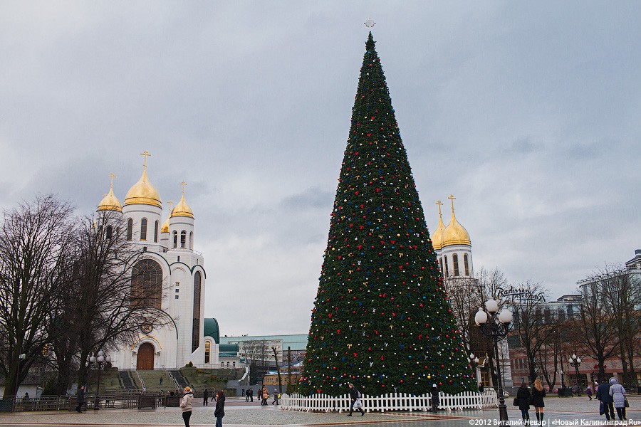 В новогодние каникулы временно закроют движение в центре Калининграда