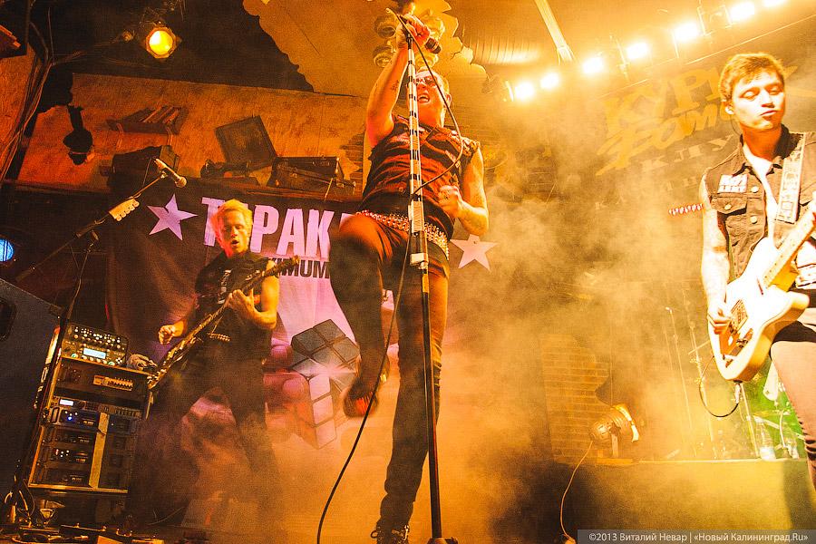 Без инсектицидов: в клубе «Кури Бамбук» дала концерт группа «Тараканы!»