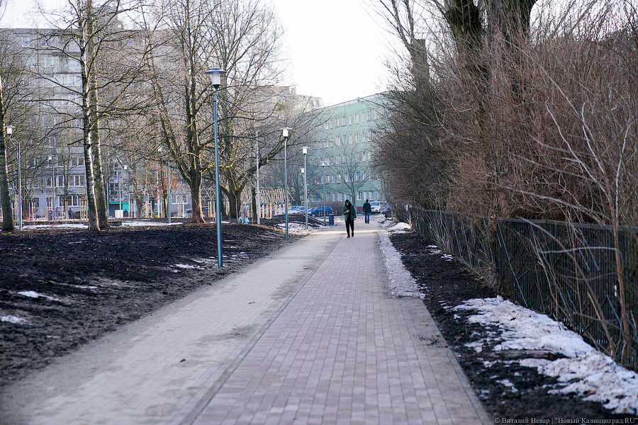 Почему без снега. Зима без снега. Зима в Краснодаре без снега. Улицы без снега.