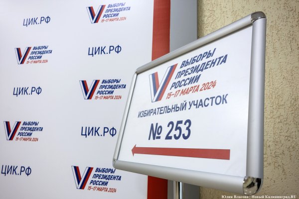 Избирком: голоса участников дистанционного голосования учтут в Калининграде