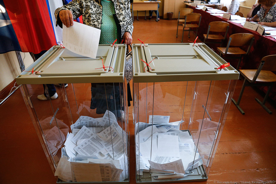 Плешков от «Яблока», Булка от КПРФ: кого выдвинули в Госдуму от Калининградской области