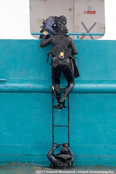 «Под флагом Башара»: фоторепортаж с антитеррористических учений