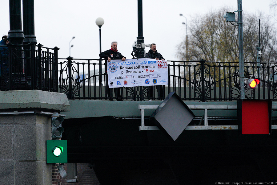 День моржа: как пловцы пытались защитить экосистему Преголи (фото)