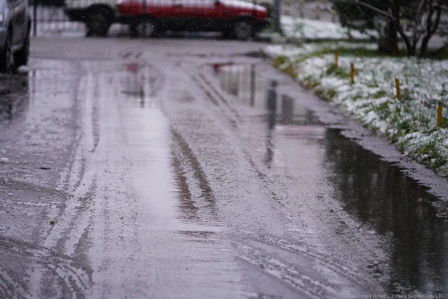 Погода в Калининграде 25 ноября