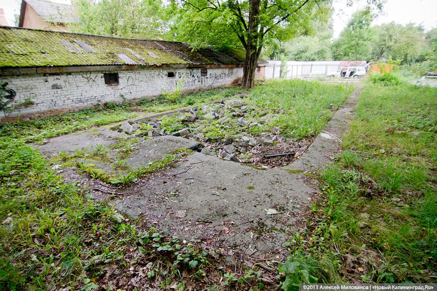 Темнота и фантасмагории: вилла «Яффа» в фотопроекте «Пустые дома»