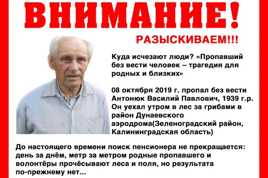 Родные пропавшего грибника объявили крупное вознаграждение за информацию о нем