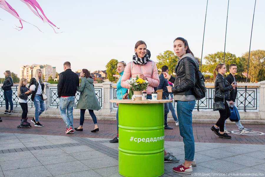 Жутко здорово и запредельно дорого: как прошёл пикник «Городские выходные»