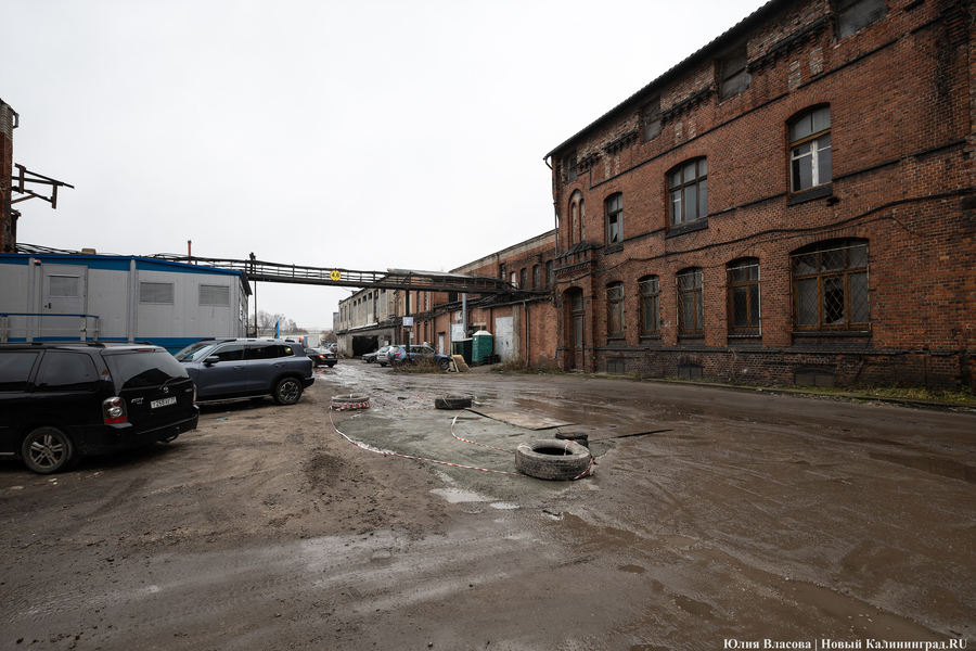 Постапокалиптический пейзаж: что происходит с территорией бывшего ЦБЗ-1 (фото)
