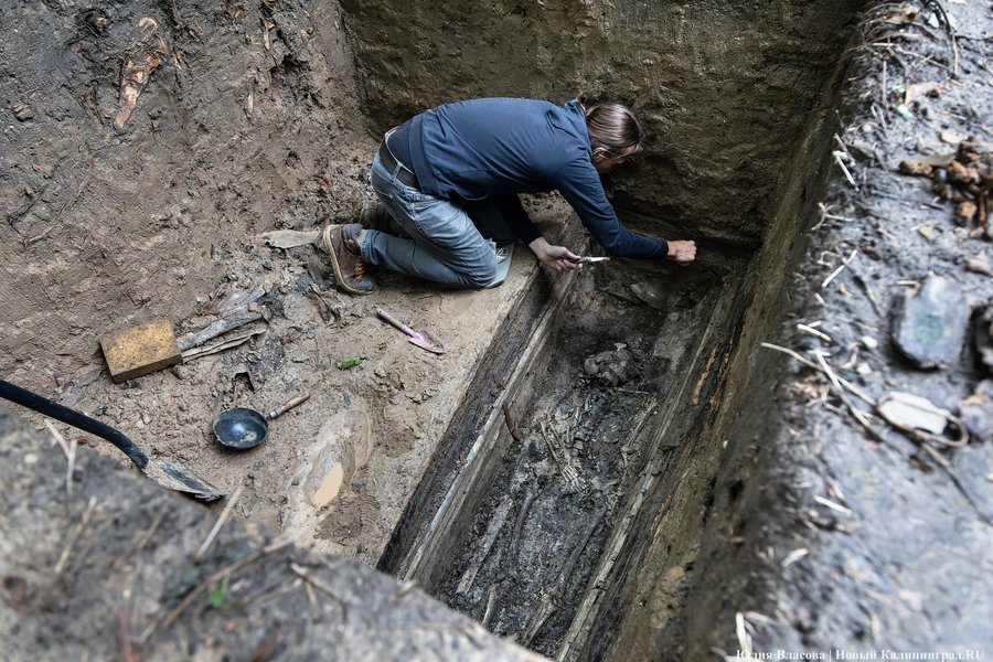Кенигсбергское кладбище в районе Литовского вала включили в реестр ОКН
