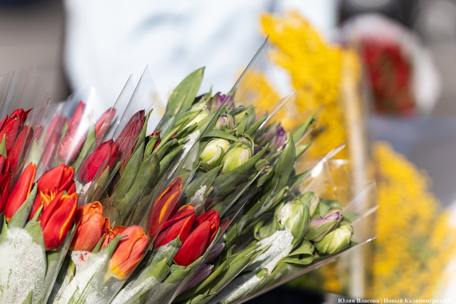 Кругом мимозы и тюльпаны: как выглядят улицы Калининграда 8 марта (фото)