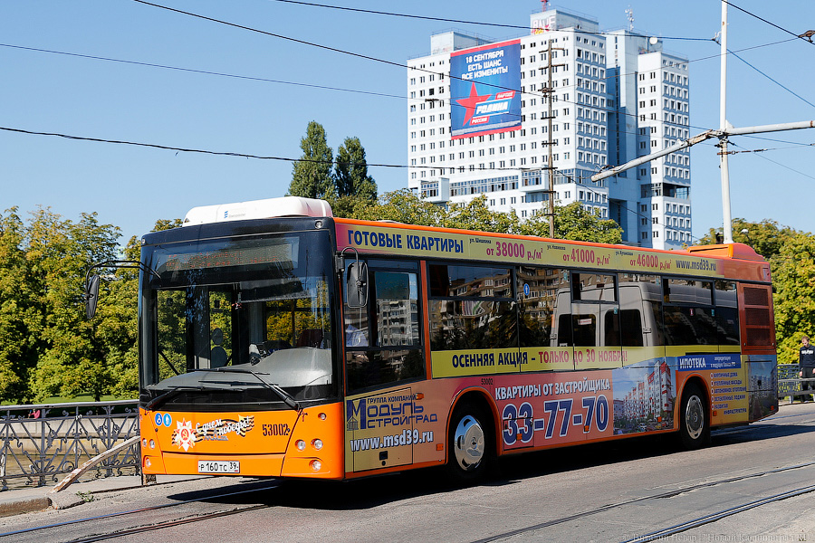 В Калининграде до Острова и Аксакова намерены продлить два автобусных маршрута