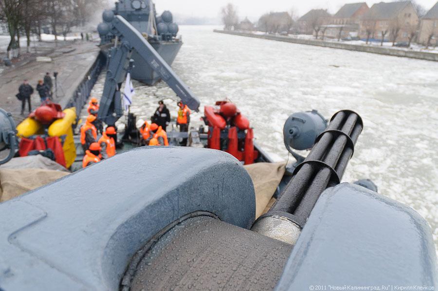 "50 лет дивизиону тральщиков": фоторепортаж "Нового Калининграда.Ru"