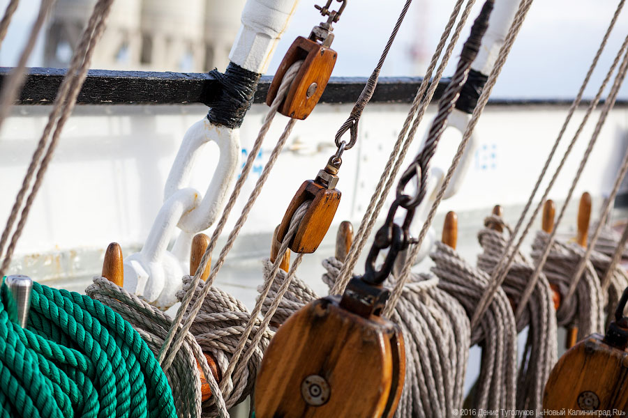 Дадим по струнам: Борислав Струлёв выступил на борту барка «Крузенштерн»