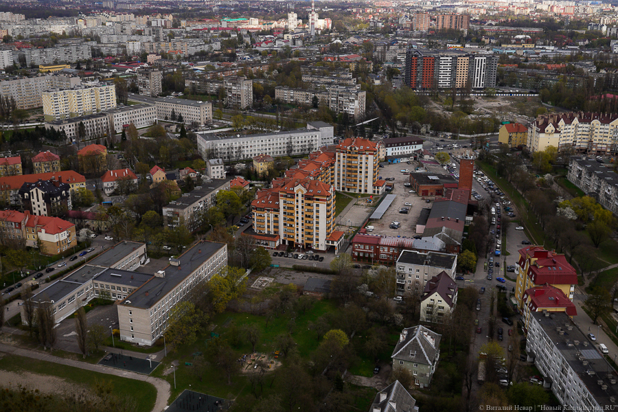 Фото: Виталий Невар / Новый Калининград