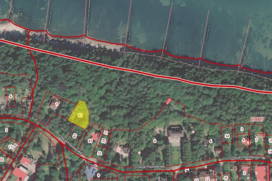 Власти Светлогорска рассказали, сколько земли предоставили без торгов