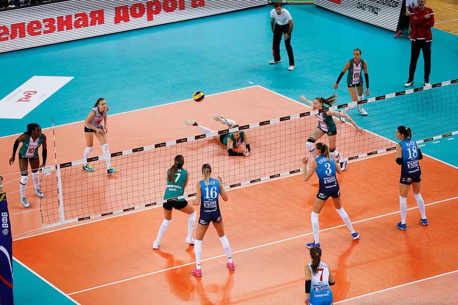 Два «Динамо» подряд: в Калининграде проходит волейбольный «Финал четырех» (фото)